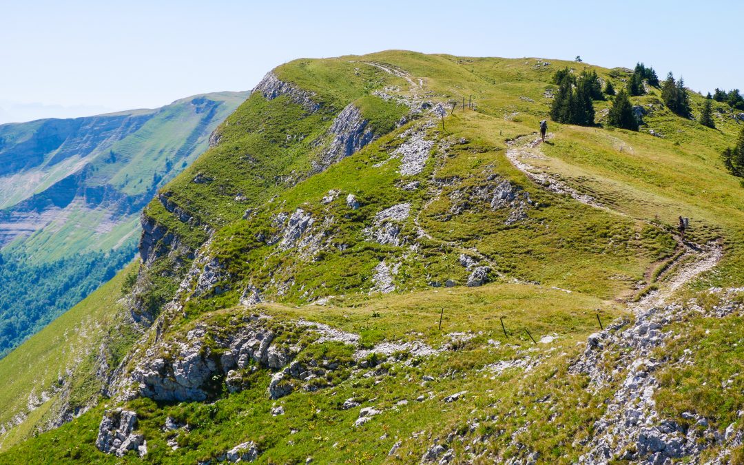 Votez pour la Grande Traversée du Jura !